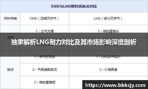 独家解析LNG耐力对比及其市场影响深度剖析